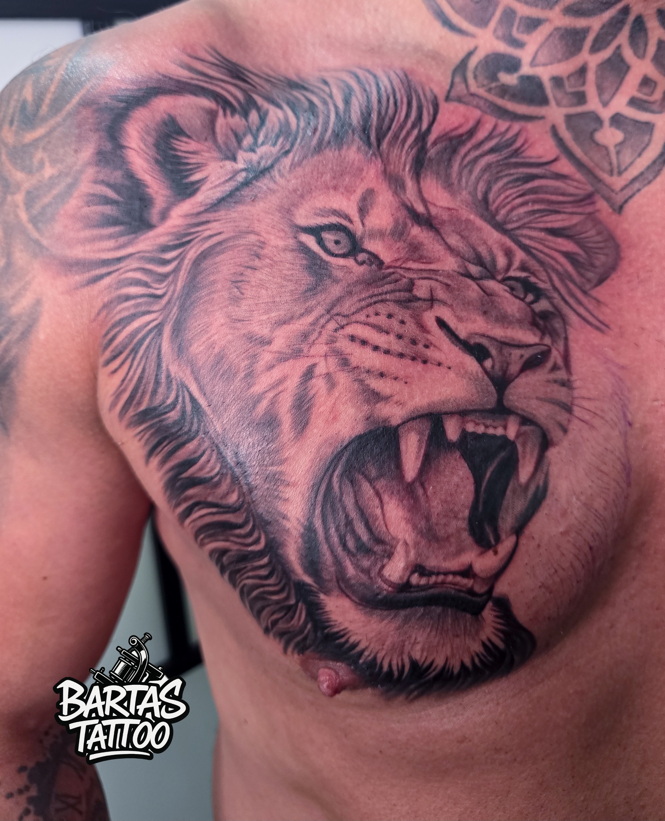 Black and grey realistic roaring lion tattoo on a chest