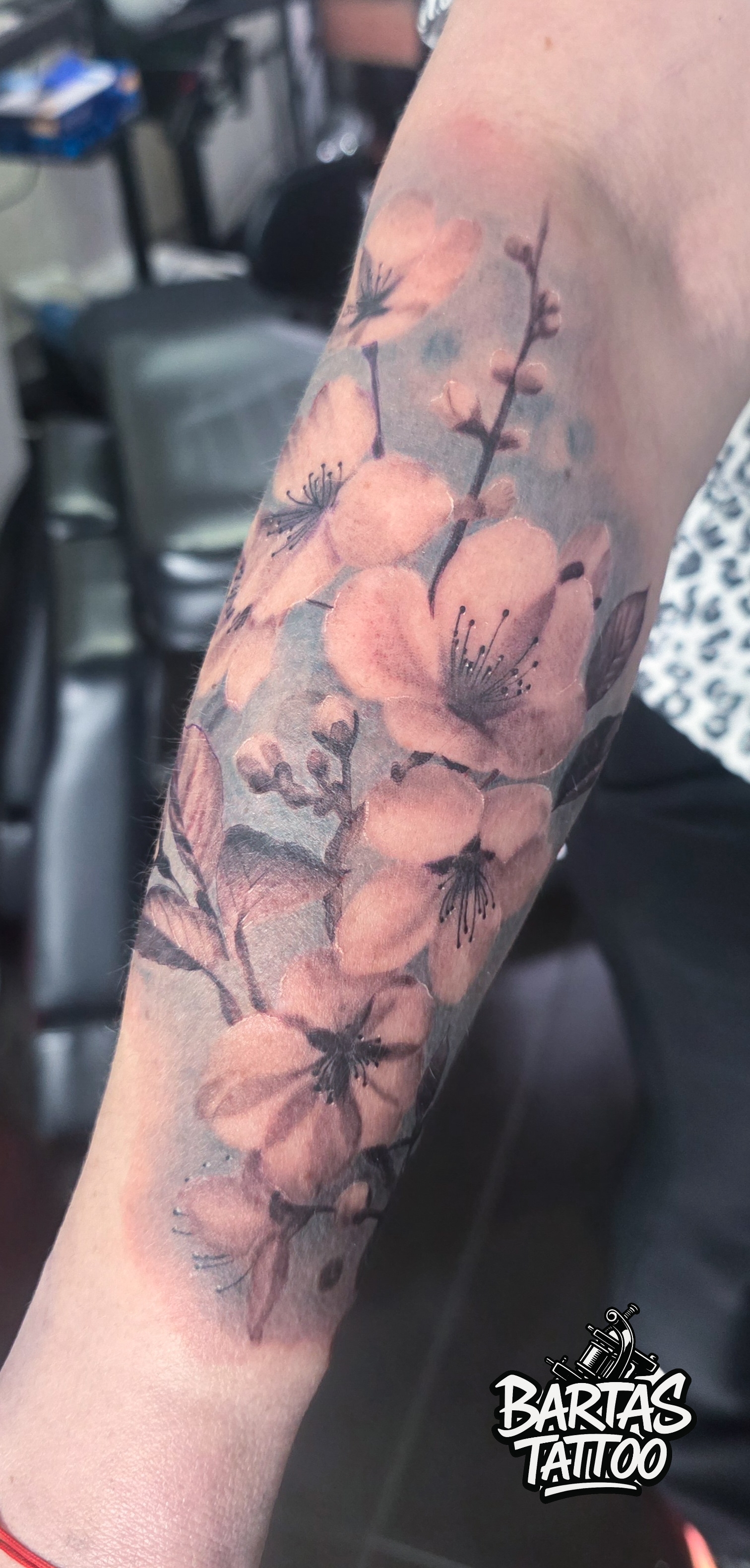Cherry blossom tattoo on a forearm